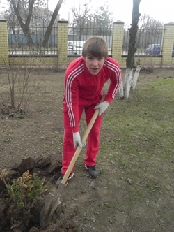 Экологическая акция