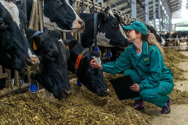 Сокращенная рабочая неделя для сельских женщин будет законодательно закреплена