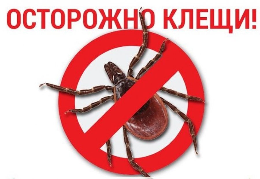 Главное – обеспечить безопасность