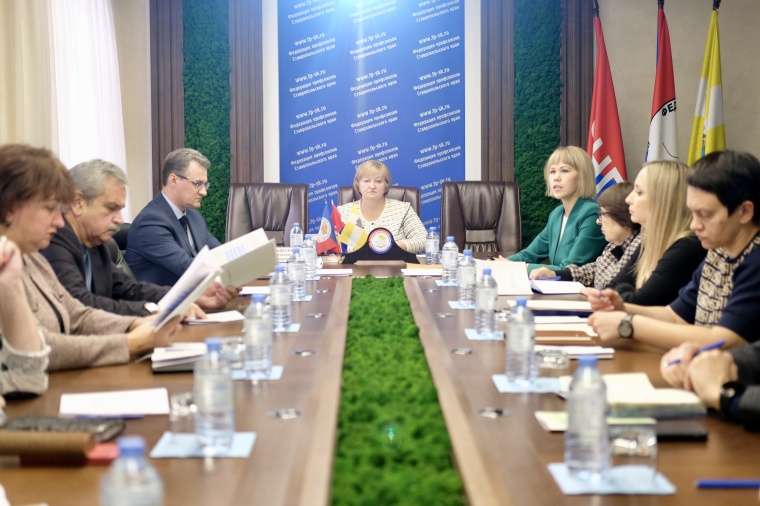 Состоялось заседание Постоянной комиссии Совета ФПСК по социальному партнерству и защите социально-трудовых прав работников