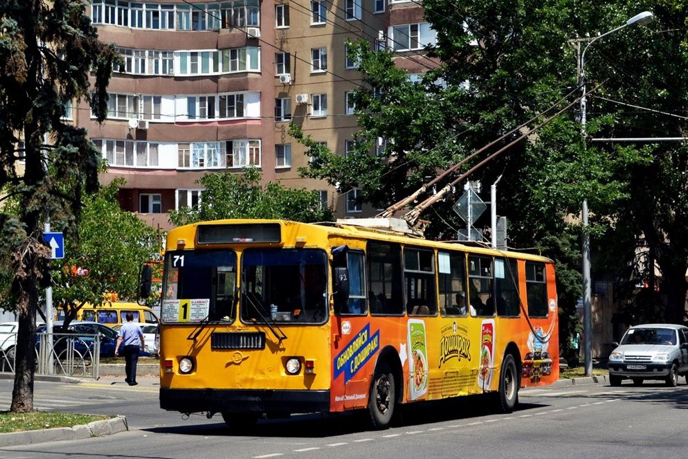 Экологически чистый транспорт должен жить!