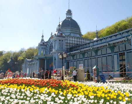 Фестиваль тюльпанов к Первомаю